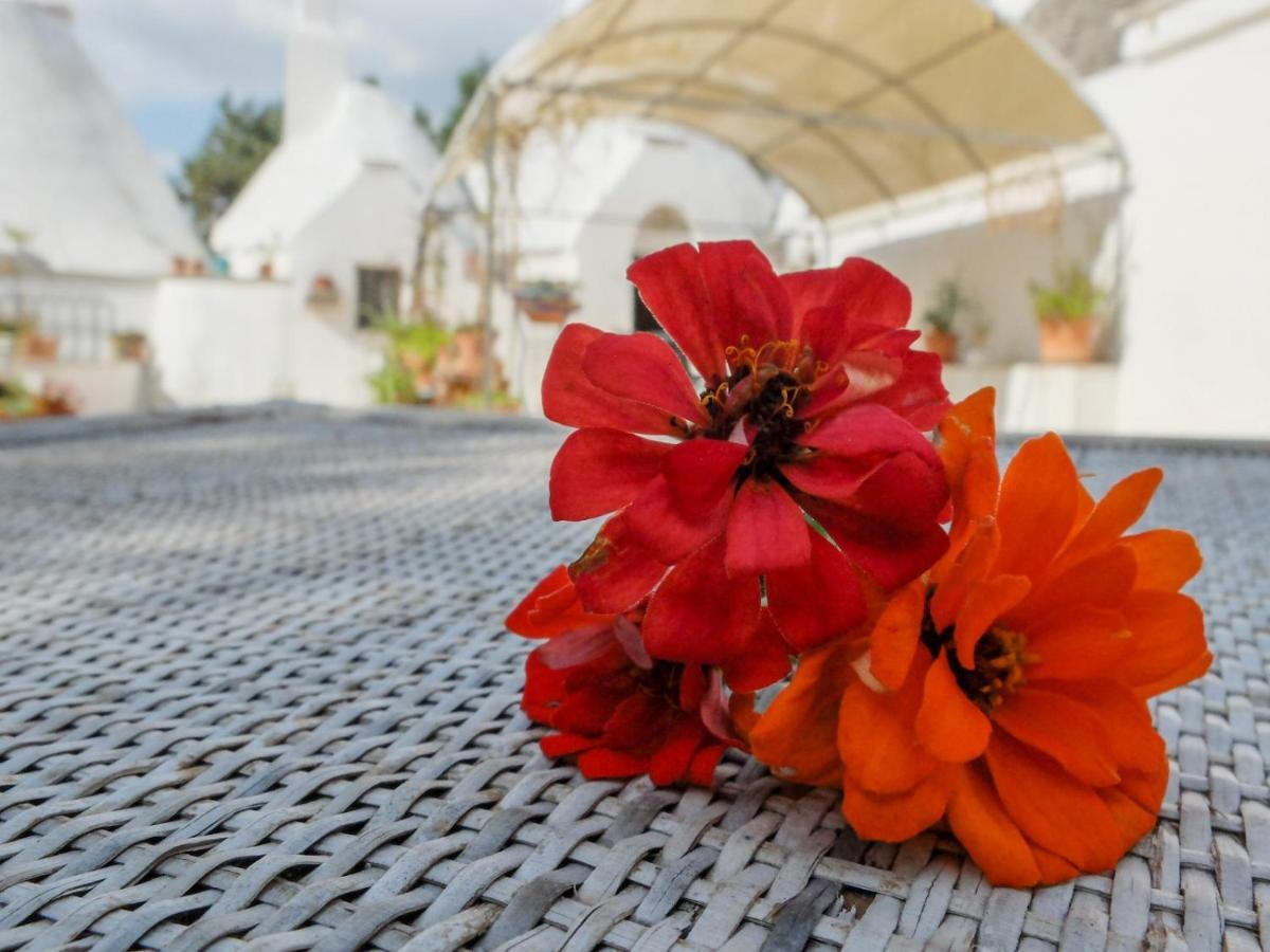 Trullo Chiari Di Bosco Villa Martina Franca Eksteriør bilde